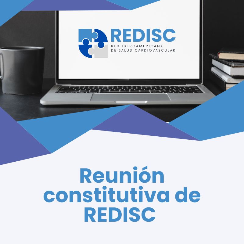 Reunión constitutiva de REDISC
